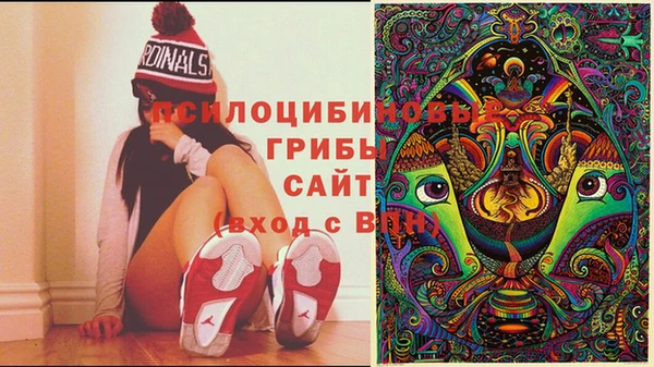 MDMA Premium VHQ Аркадак