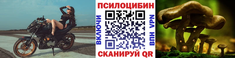 Псилоцибиновые грибы ЛСД  Сураж 