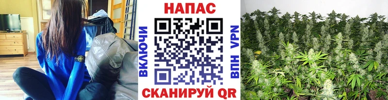 даркнет сайт  Сураж  Конопля SATIVA & INDICA 